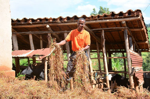Kolping International Ruanda Kleinbauer mit Ziege